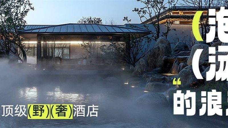 行业背景：上海旅游市场的蓬勃发展
